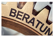 Beratung.png